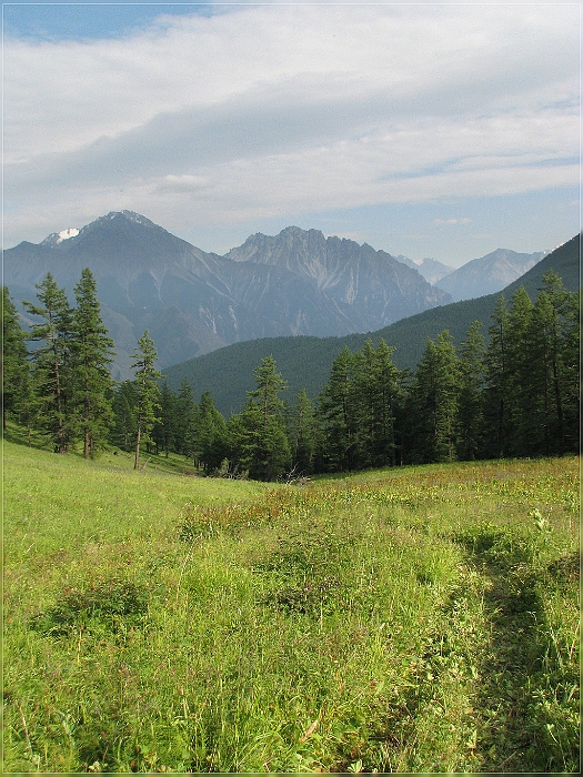 IMG_6207.jpg